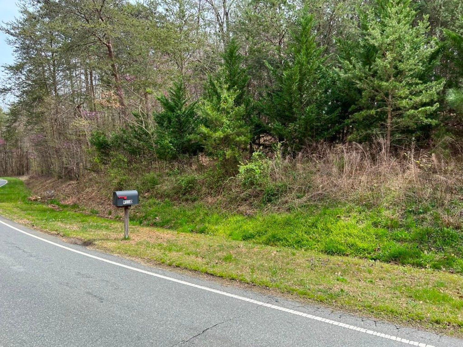 Image for Real Estate Auction - 60.9537± Acres in Forsyth County, NC