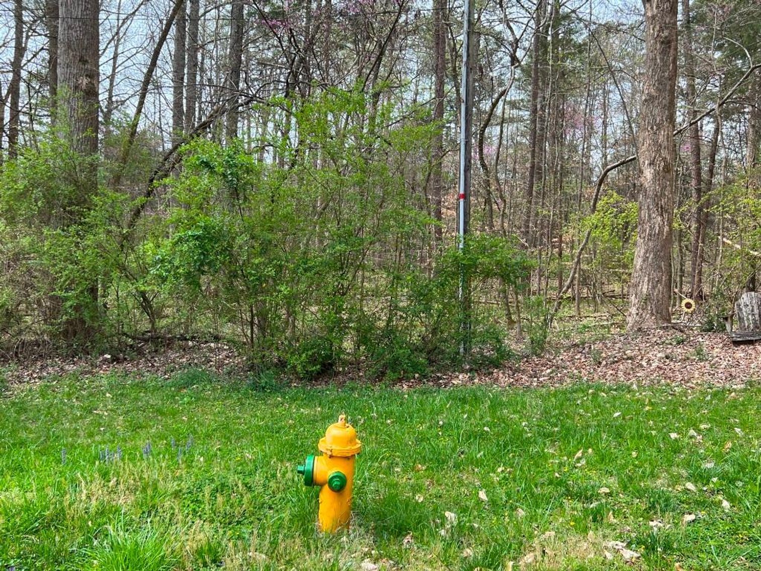 Image for Real Estate Auction - 60.9537± Acres in Forsyth County, NC