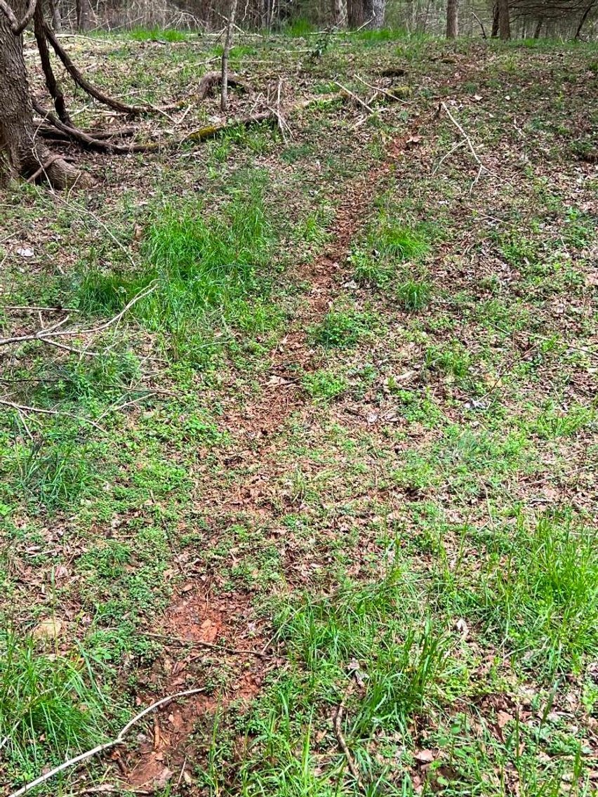 Image for Real Estate Auction - 60.9537± Acres in Forsyth County, NC