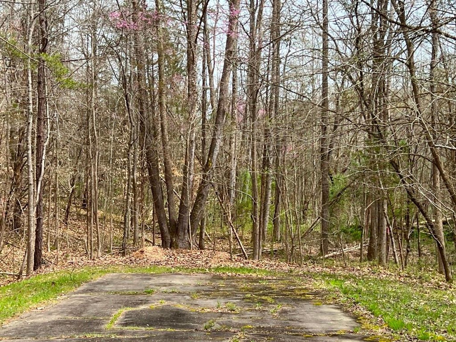 Image for Real Estate Auction - 60.9537± Acres in Forsyth County, NC