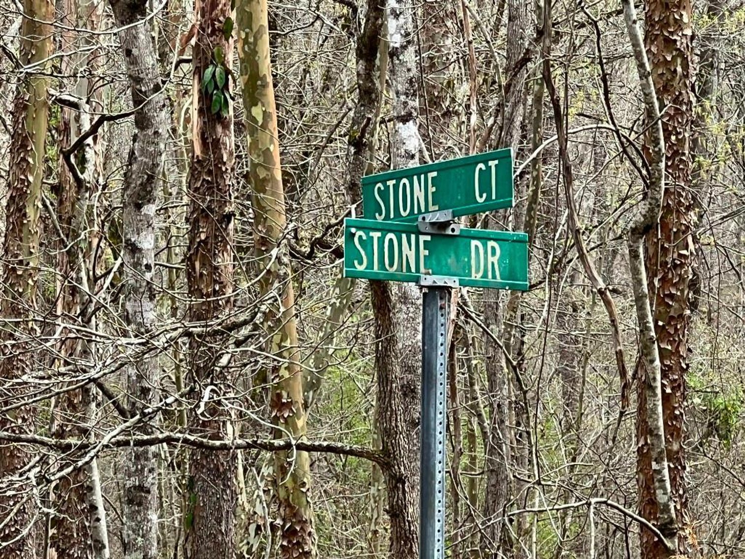 Image for Real Estate Auction - 60.9537± Acres in Forsyth County, NC