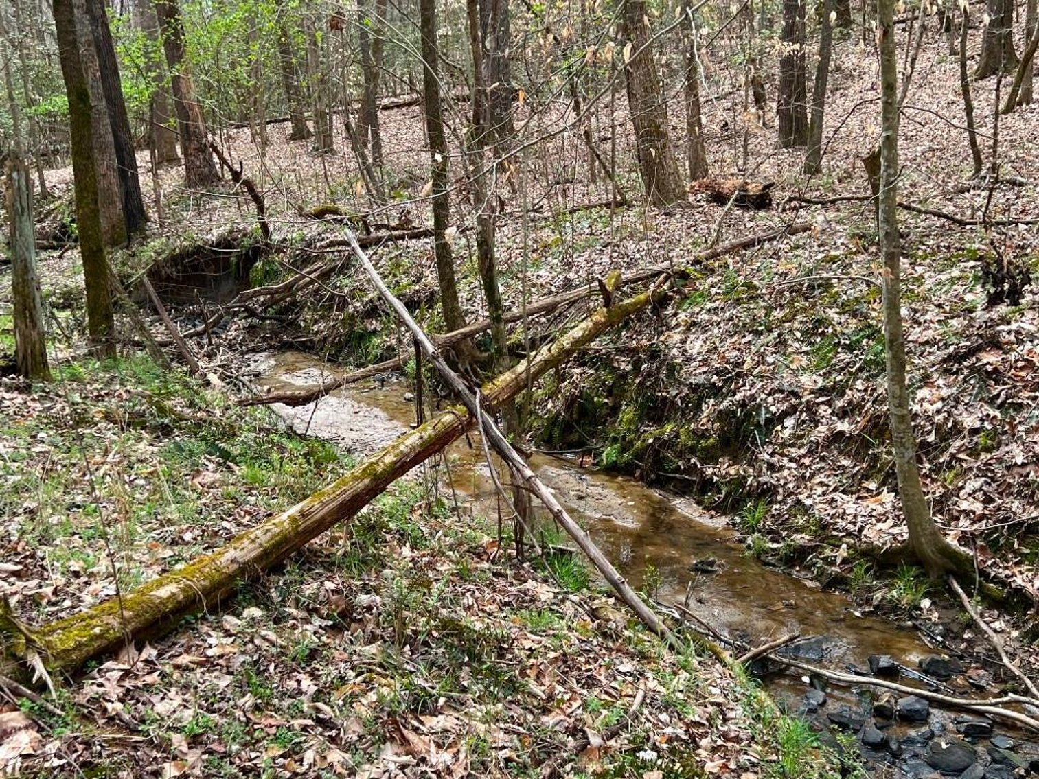 Image for Real Estate Auction - 60.9537± Acres in Forsyth County, NC