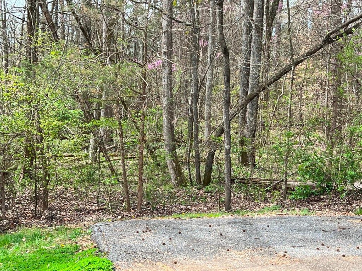 Image for Real Estate Auction - 60.9537± Acres in Forsyth County, NC