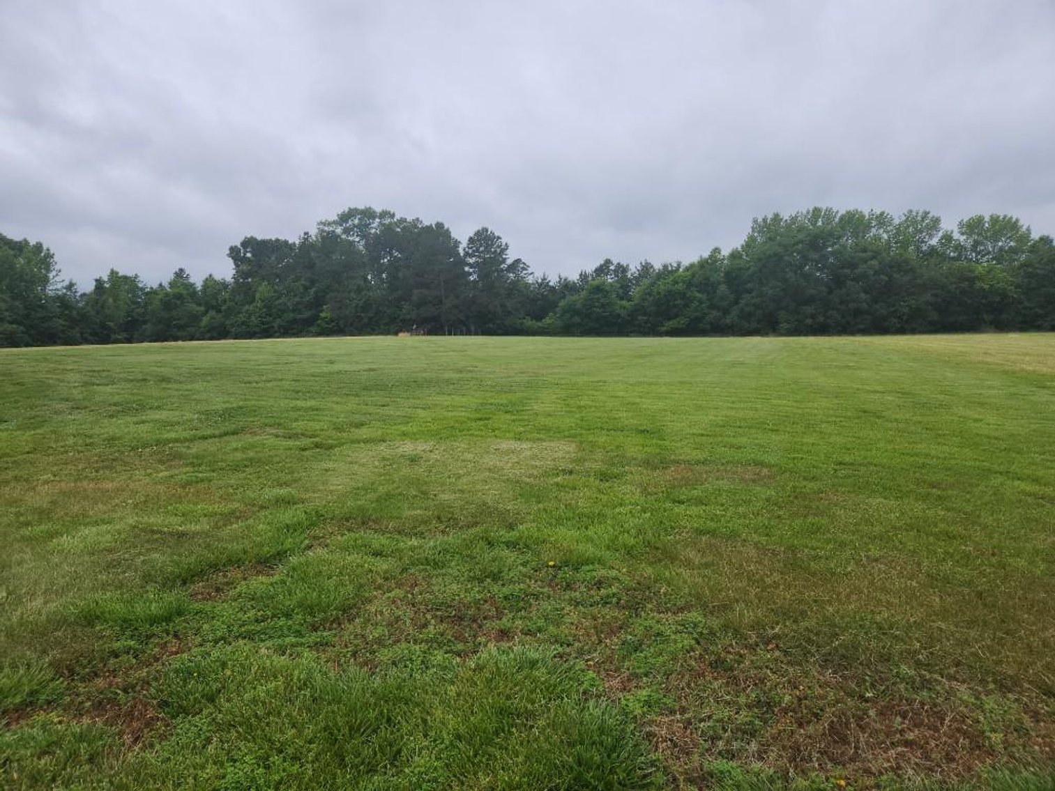 Image for Faye Driggs Estate - Brick Home on 42.89 Acres