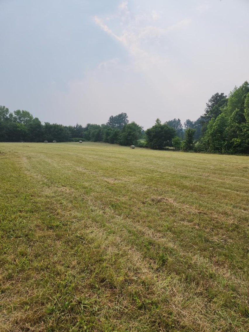 Image for Faye Driggs Estate - Brick Home on 42.89 Acres
