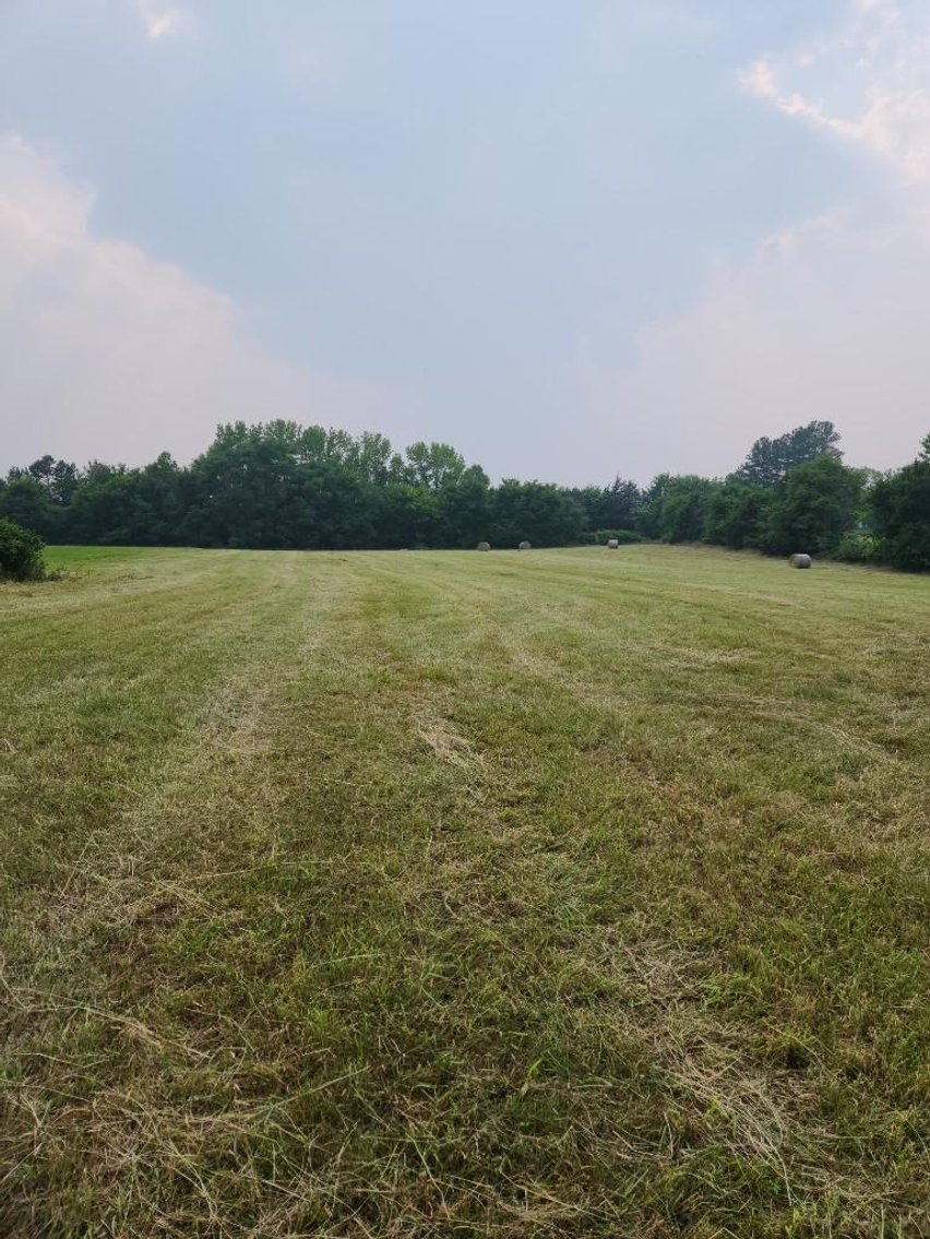 Image for Faye Driggs Estate - Brick Home on 42.89 Acres