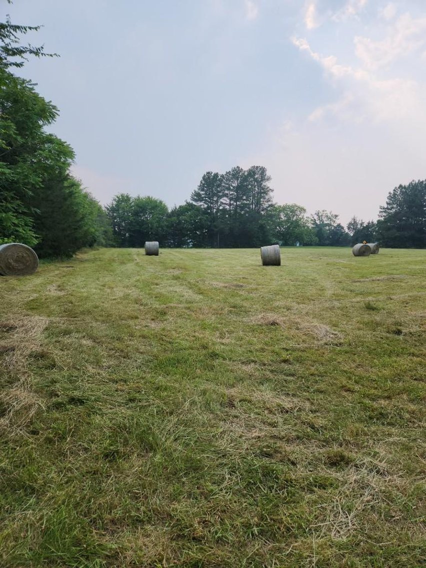 Image for Faye Driggs Estate - Brick Home on 42.89 Acres