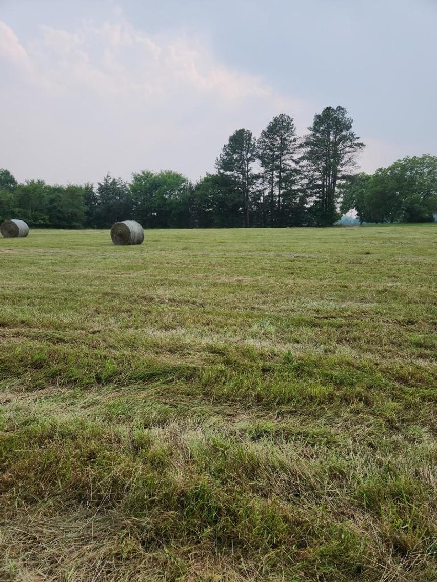 Image for Faye Driggs Estate - Brick Home on 42.89 Acres