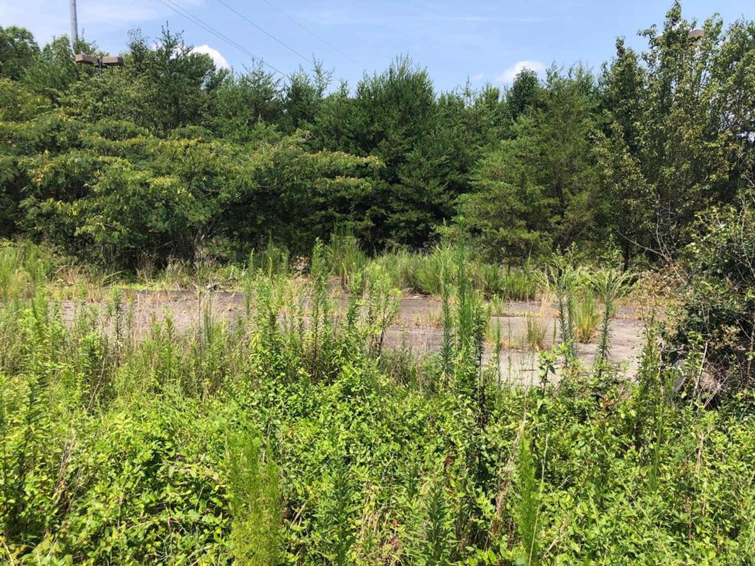 Image for 4.05 Acres in Conover, NC