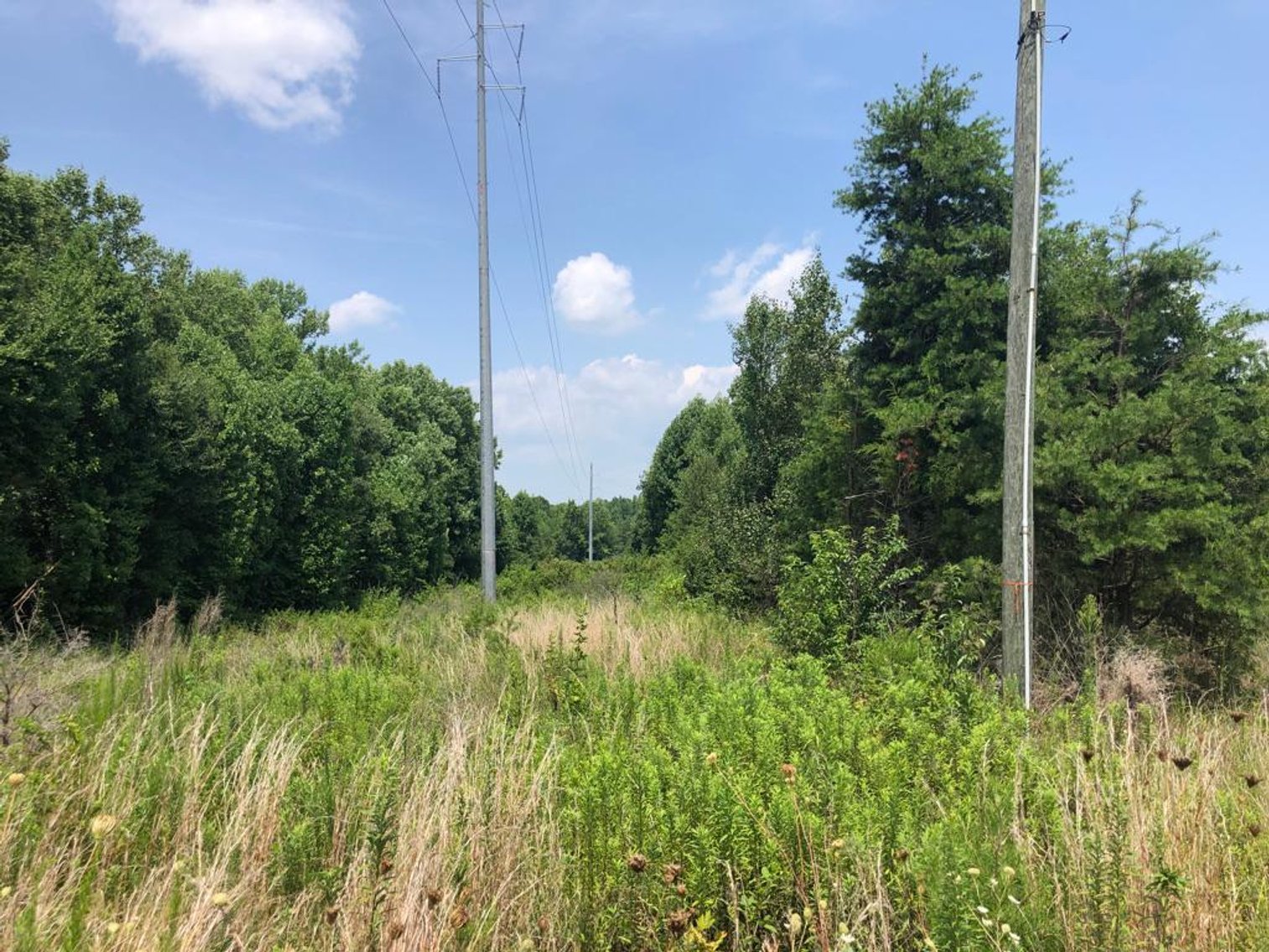 Image for 4.05 Acres in Conover, NC