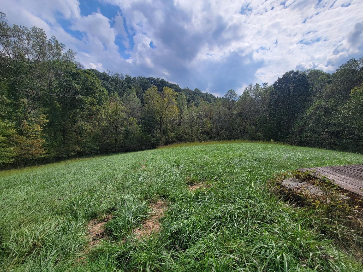 Image for Home For Sale in Mount Airy - 152 Spanish Fort Trail