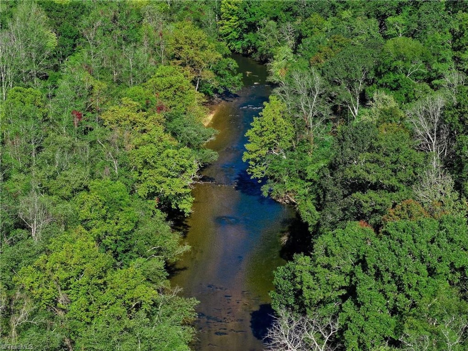 Image for Land For Sale in Danbury - 1849 Mission Extension Road
