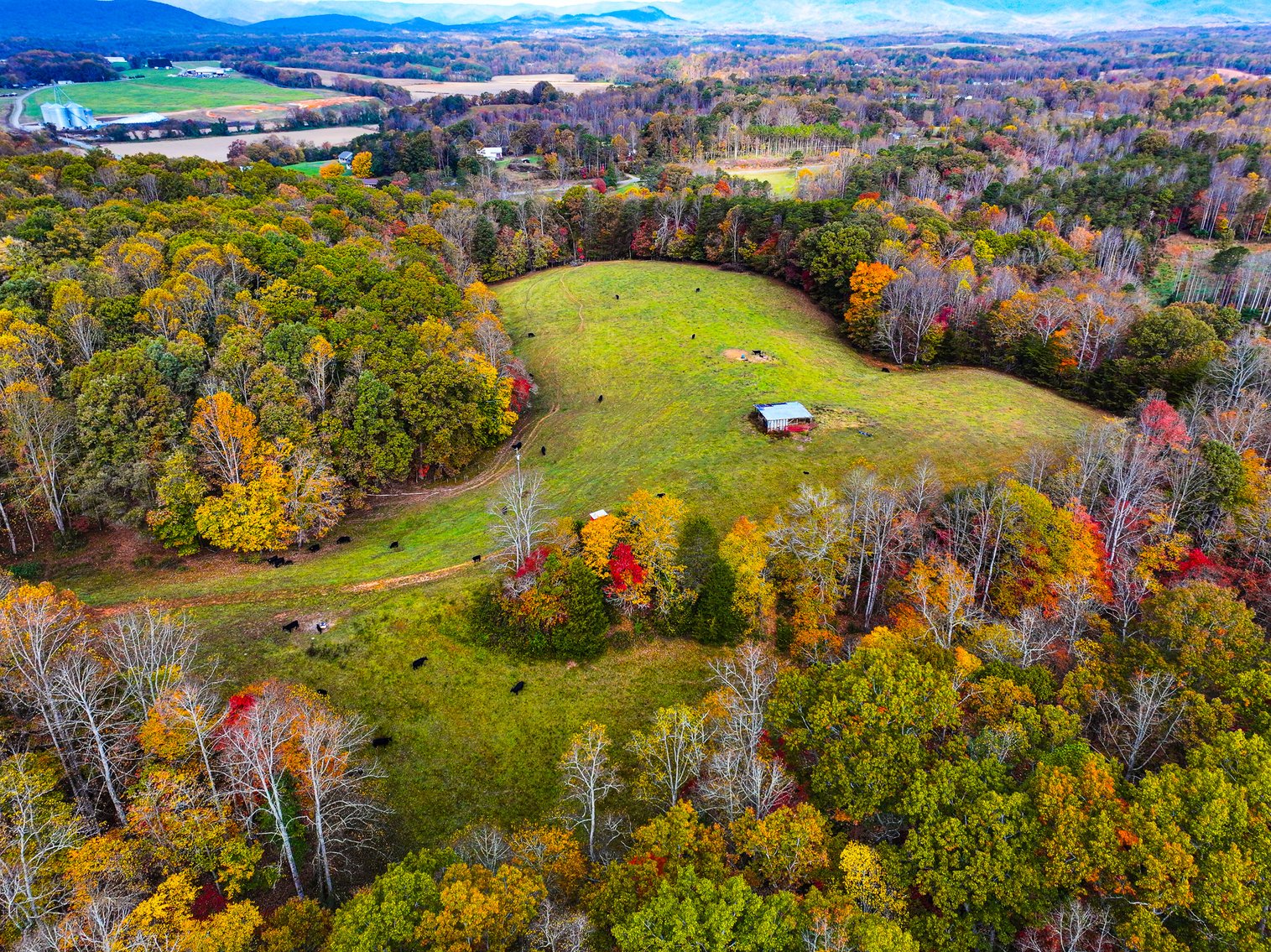 Image for 30± Acres with Mountain Views in Mount Airy – Land Auction