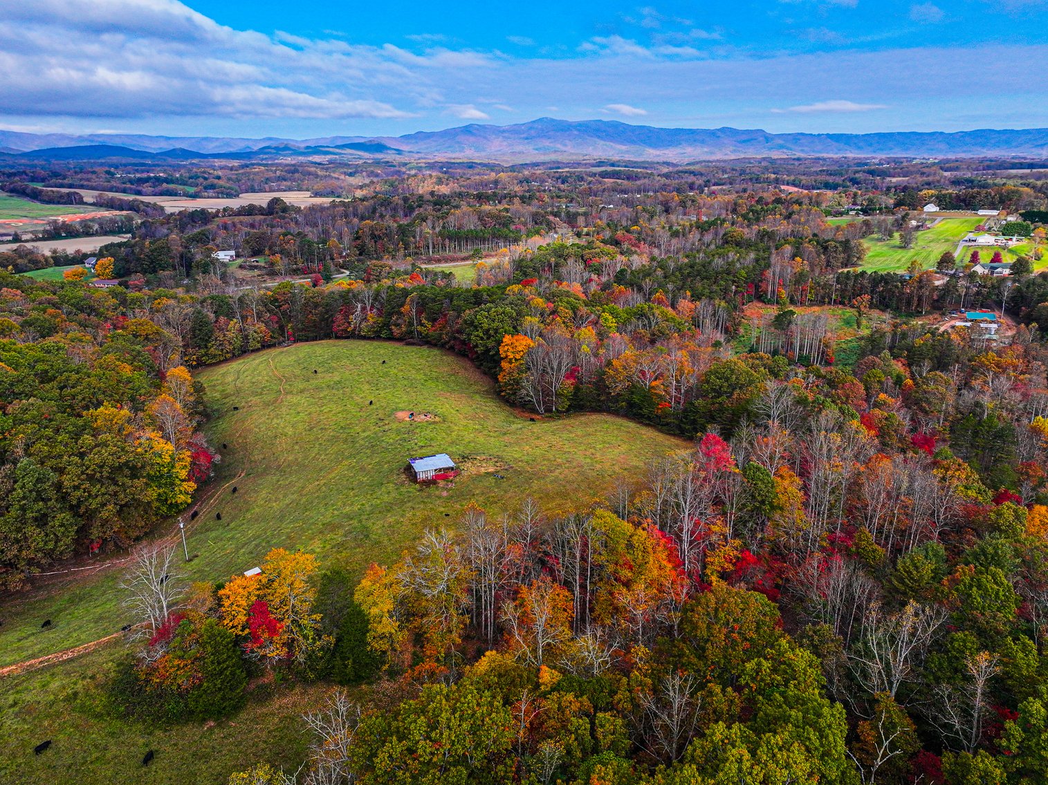 Image for 30± Acres with Mountain Views in Mount Airy – Land Auction