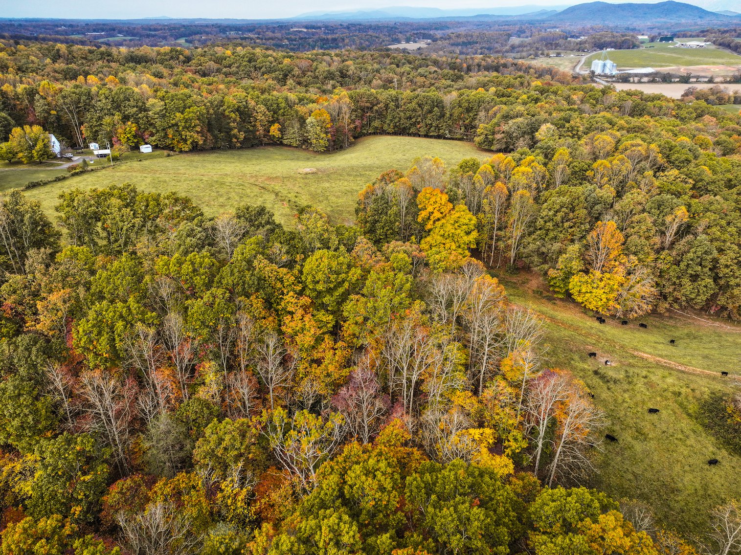 Image for 30± Acres with Mountain Views in Mount Airy – Land Auction