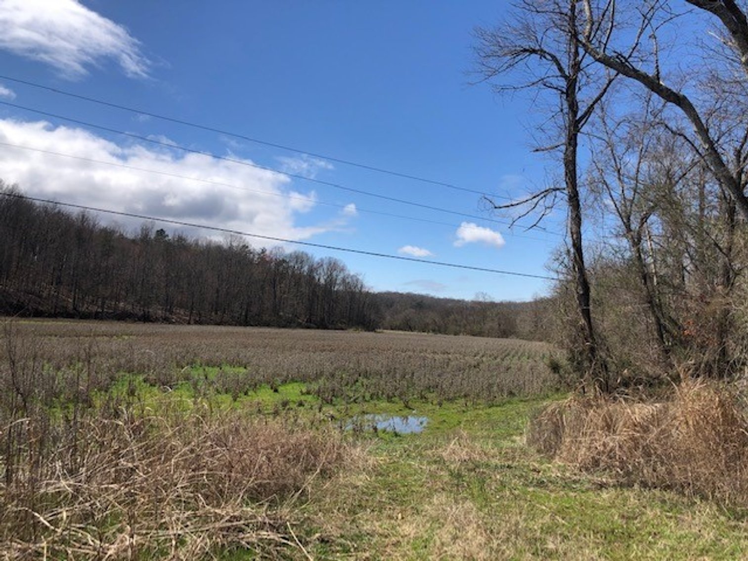Image for Land For Sale in Pfafftown - 000 River Ridge Road