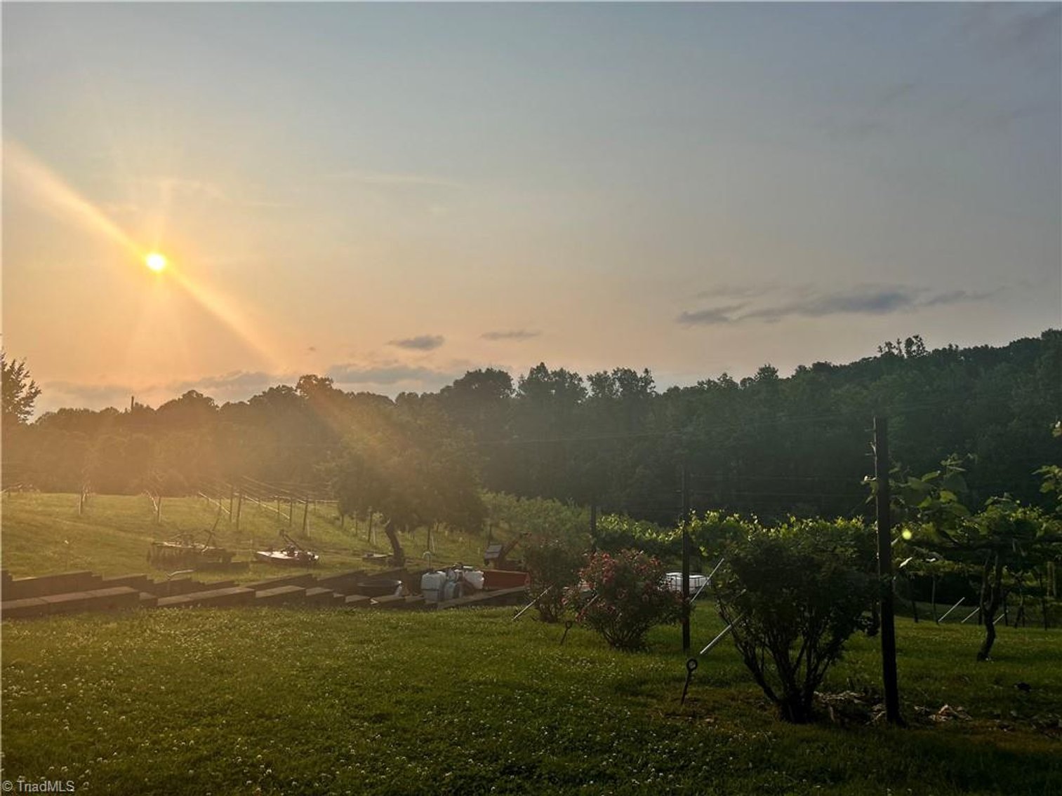 Image for Winery For Sale in Elkin - 171A Heritage Vines Way