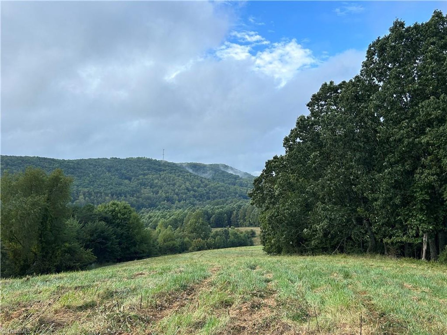 Image for Land For Sale in Mount Airy - Pine Street