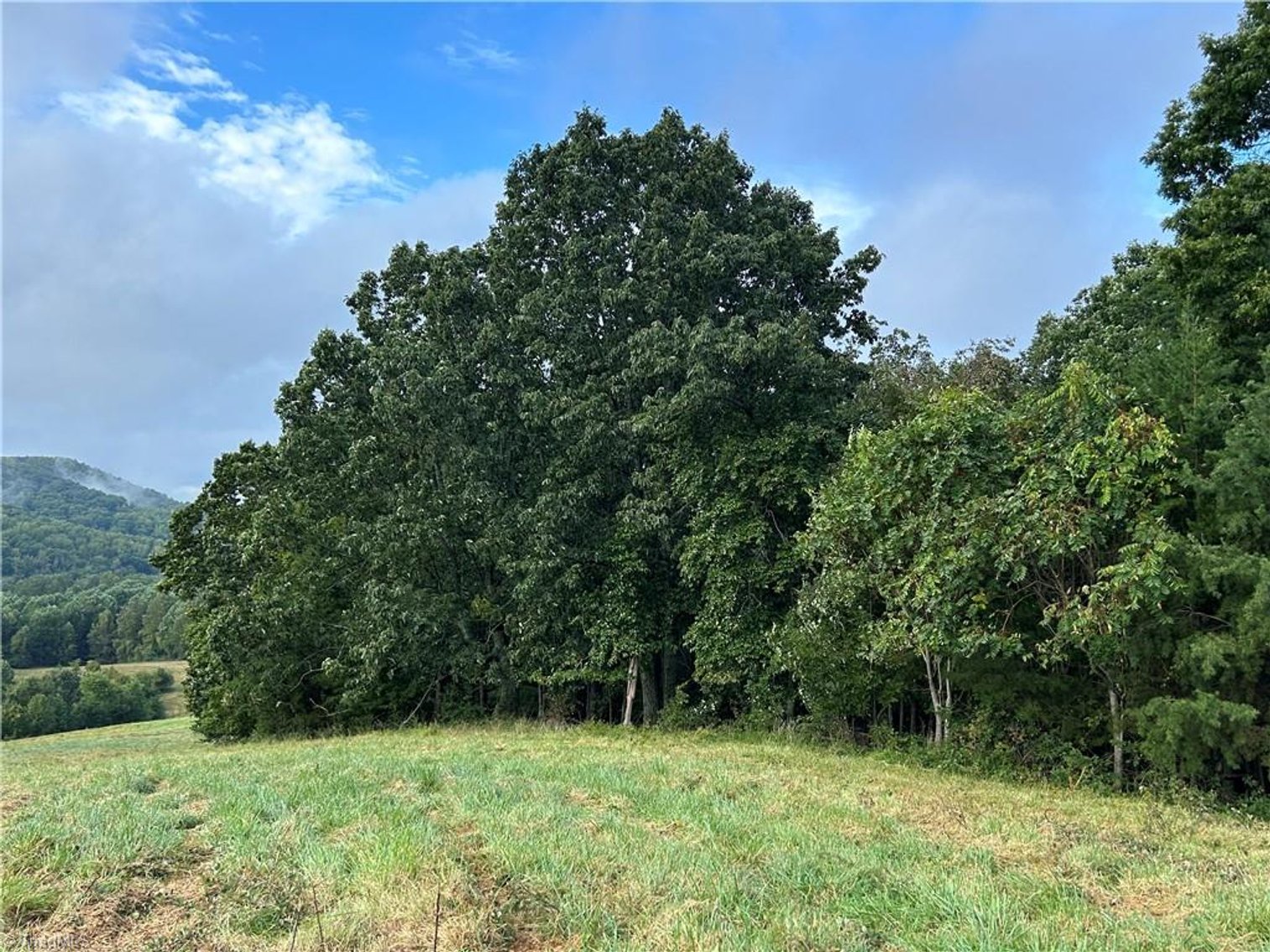 Image for Land For Sale in Mount Airy - Pine Street