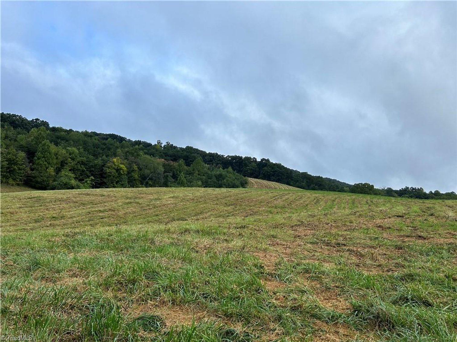 Image for Land For Sale in Mount Airy - Pine Street