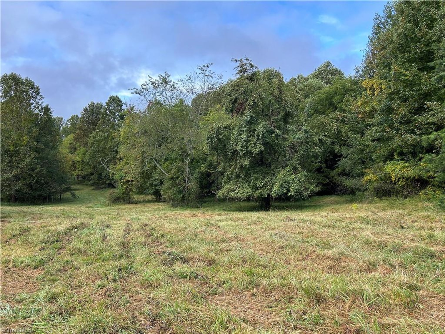 Image for Land For Sale in Mount Airy - Pine Street