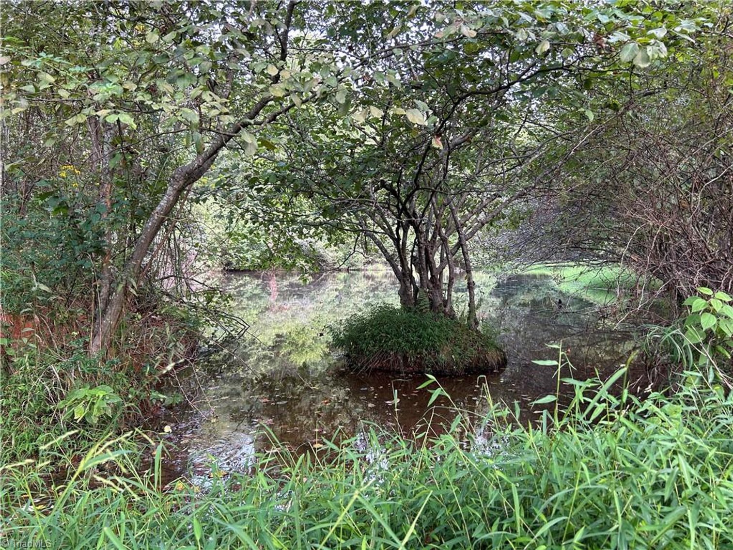 Image for Land For Sale in Mount Airy - Pine Street