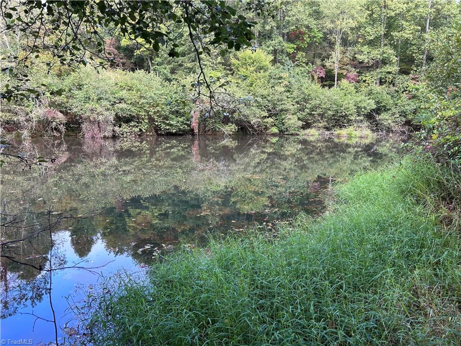 Image for Land For Sale in Mount Airy - Pine Street