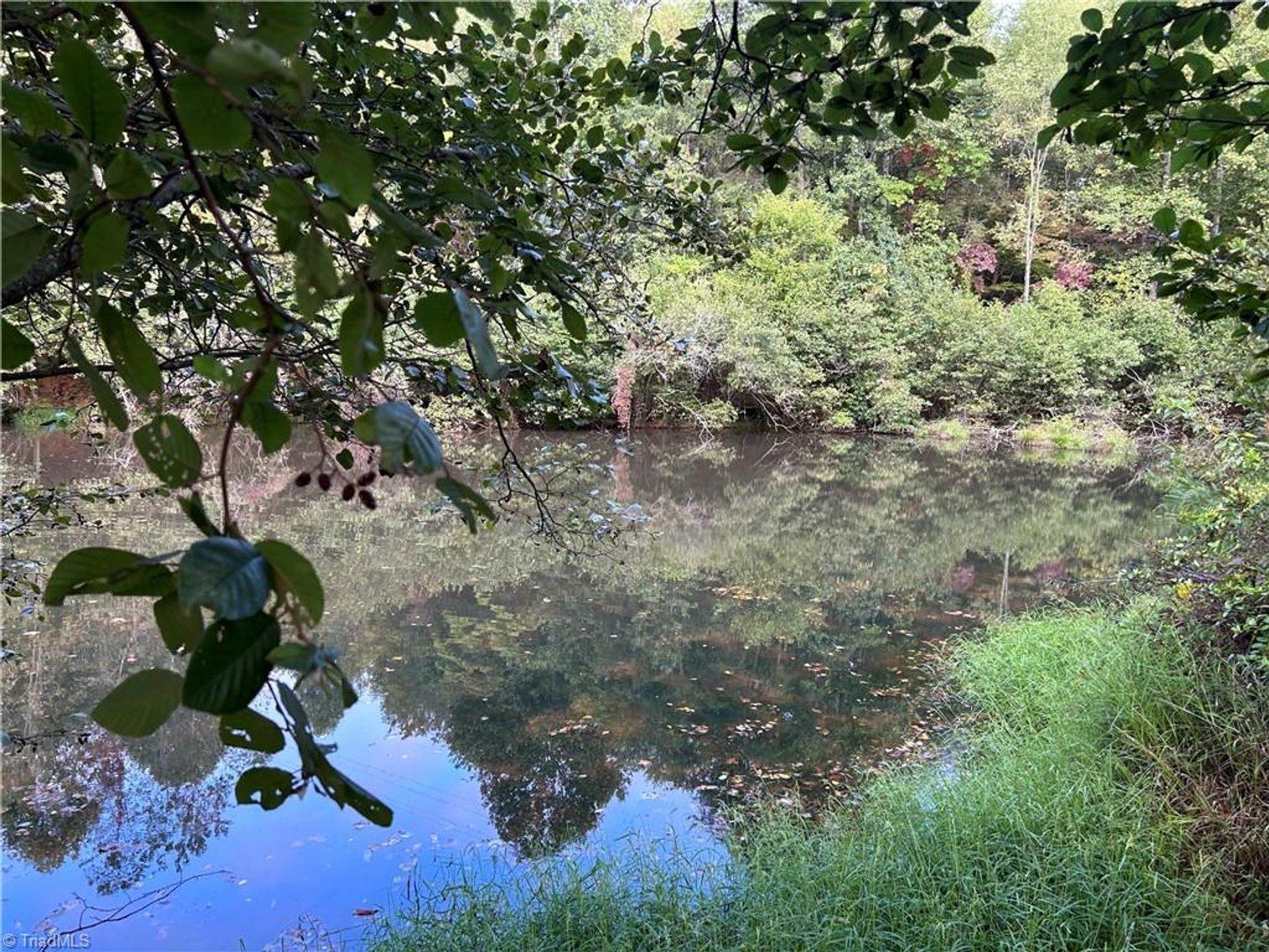 Image for Land For Sale in Mount Airy - Pine Street
