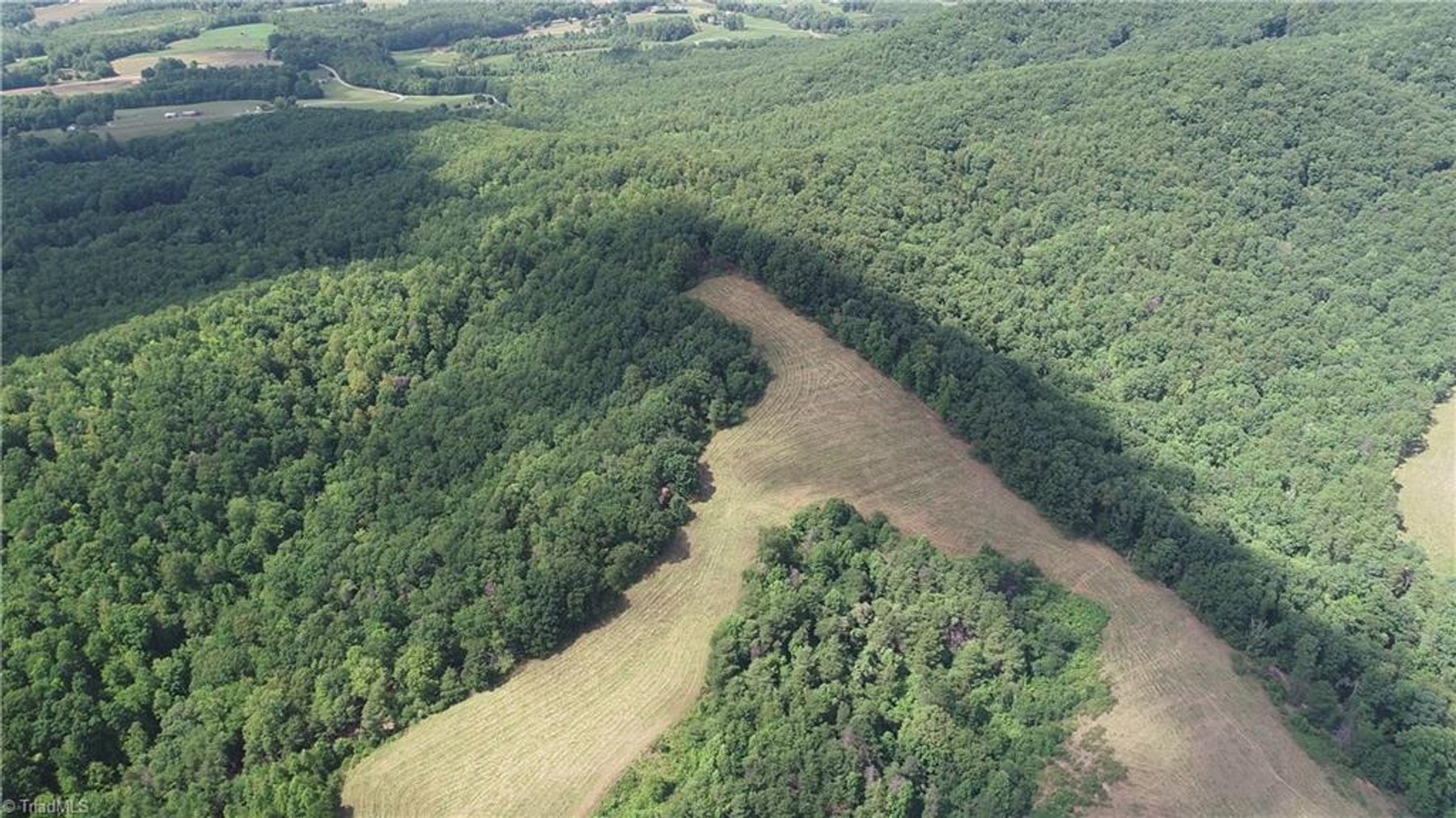 Image for Land For Sale in Mount Airy - Pine Street