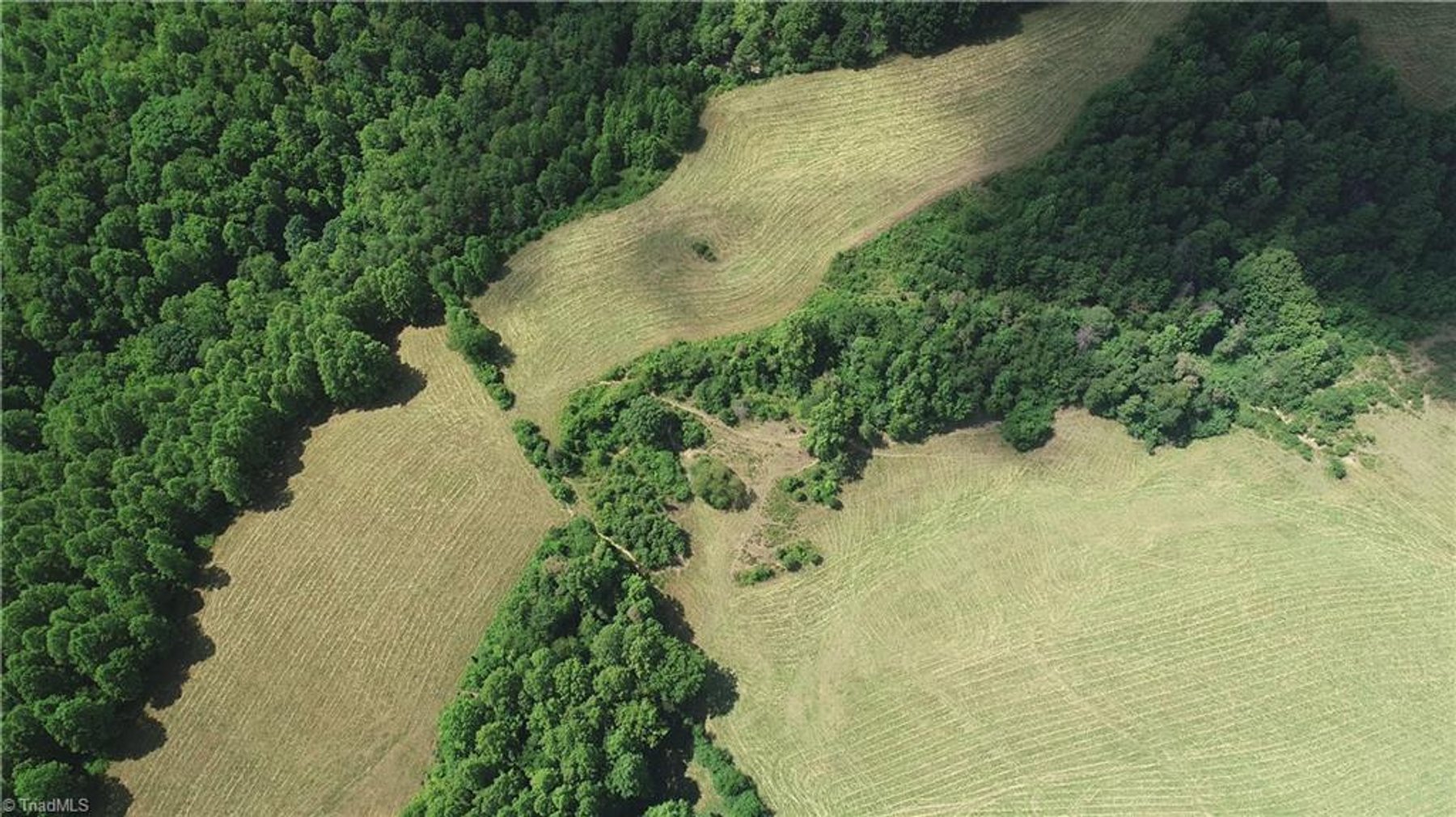 Image for Land For Sale in Mount Airy - Pine Street