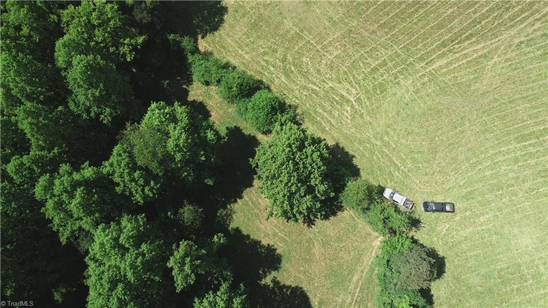 Image for Land For Sale in Mount Airy - Pine Street