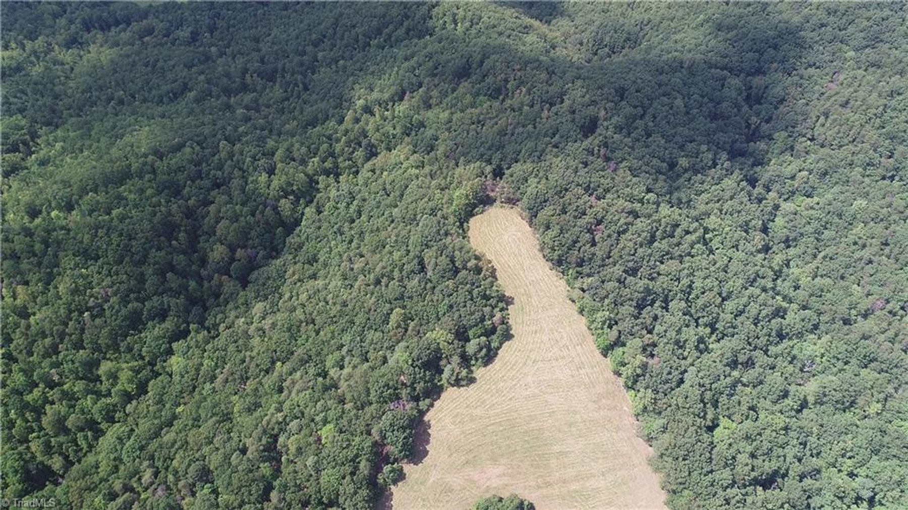 Image for Land For Sale in Mount Airy - Pine Street