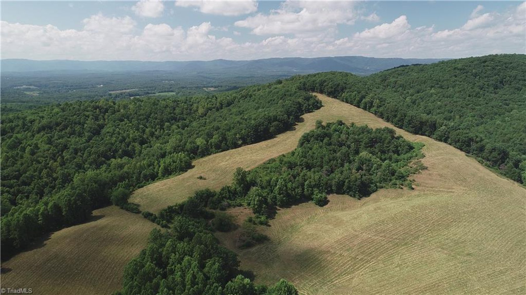 Image for Land For Sale in Mount Airy - Pine Street