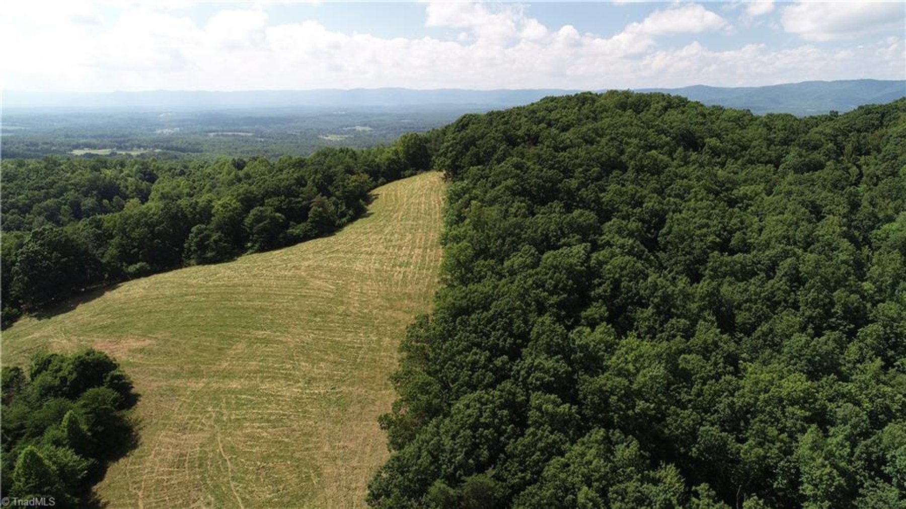 Image for Land For Sale in Mount Airy - Pine Street