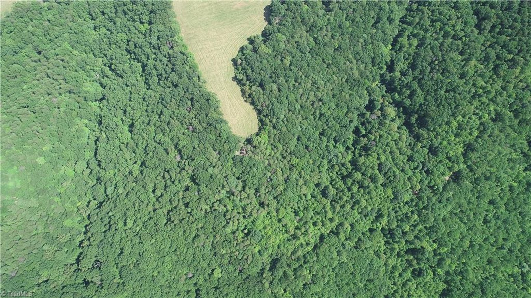 Image for Land For Sale in Mount Airy - Pine Street