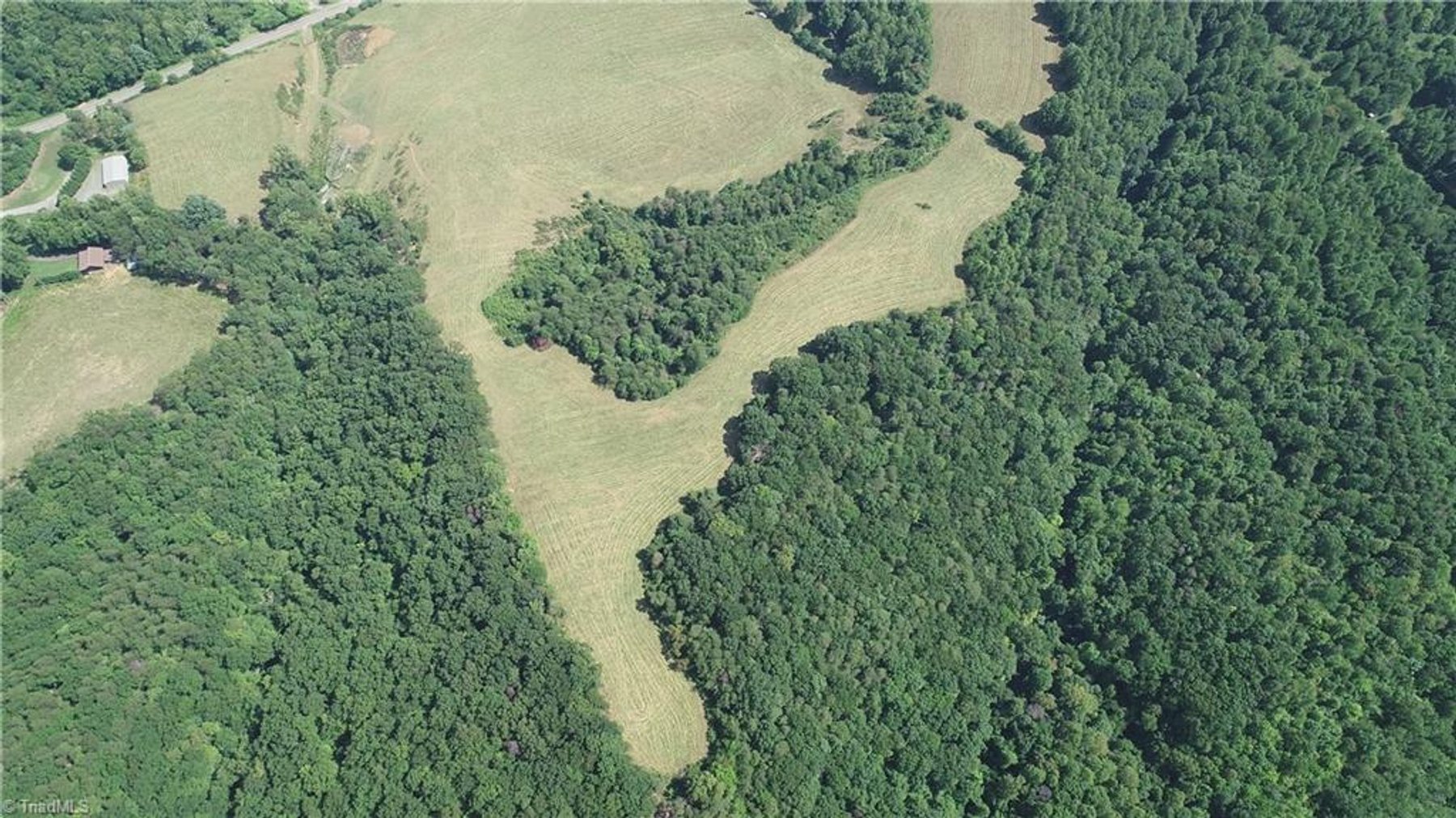 Image for Land For Sale in Mount Airy - Pine Street