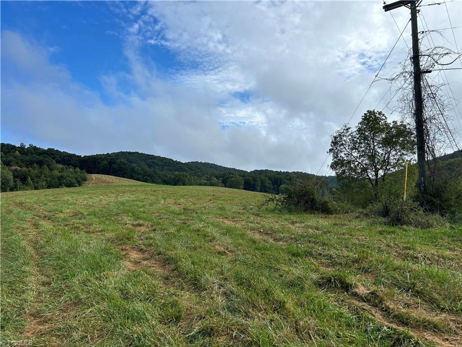 Image for Land For Sale in Mount Airy - Pine Street