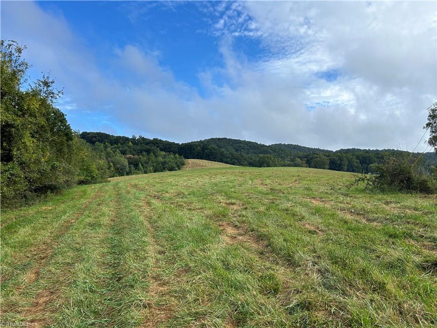 Image for Land For Sale in Mount Airy - Pine Street