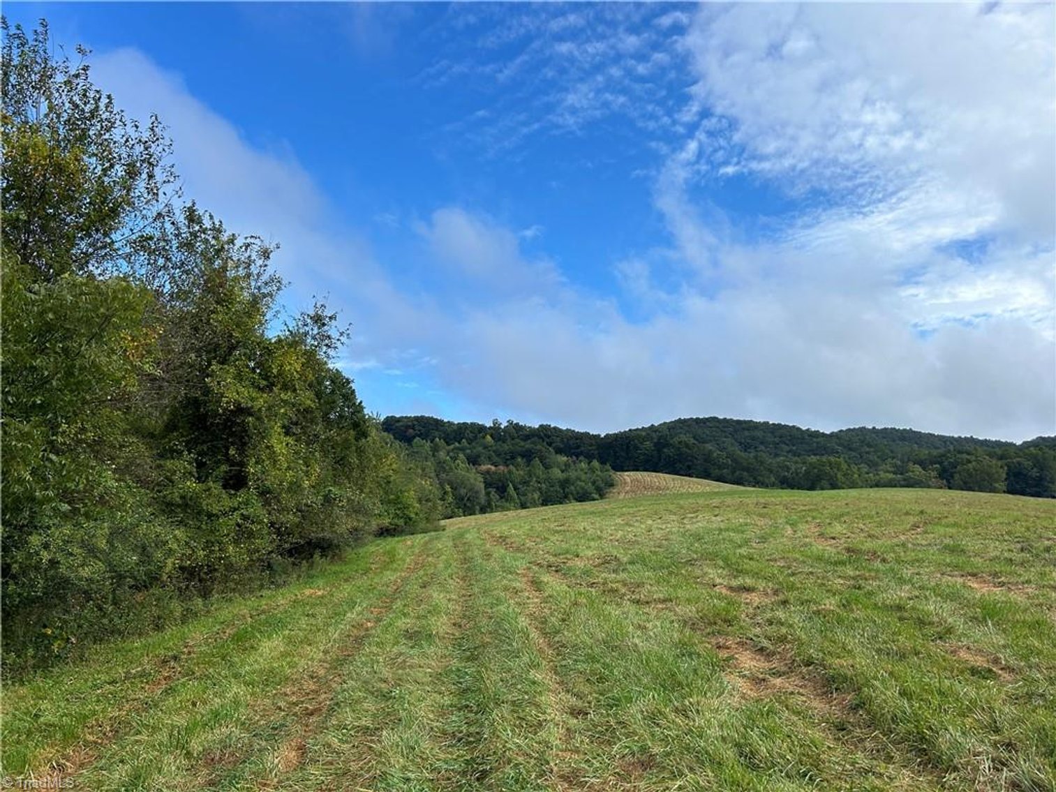 Image for Land For Sale in Mount Airy - Pine Street