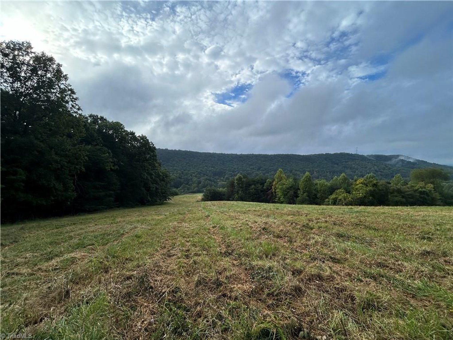 Image for Land For Sale in Mount Airy - Pine Street