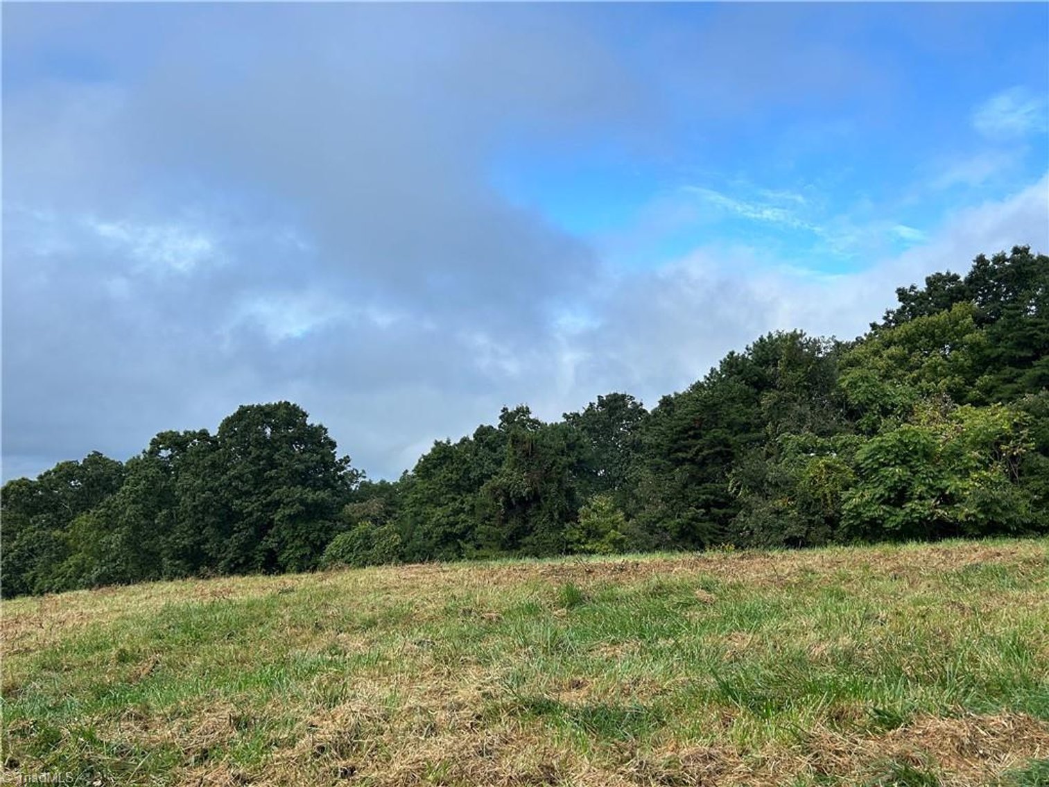 Image for Land For Sale in Mount Airy - Pine Street