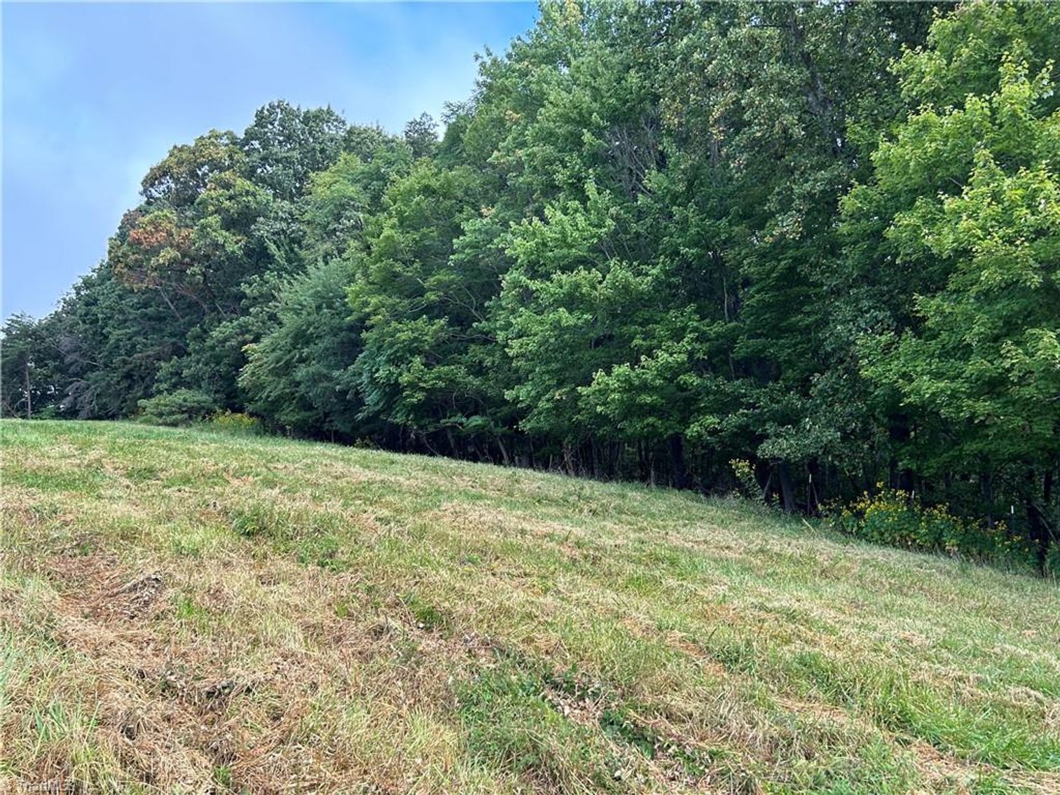 Image for Land For Sale in Mount Airy - Pine Street