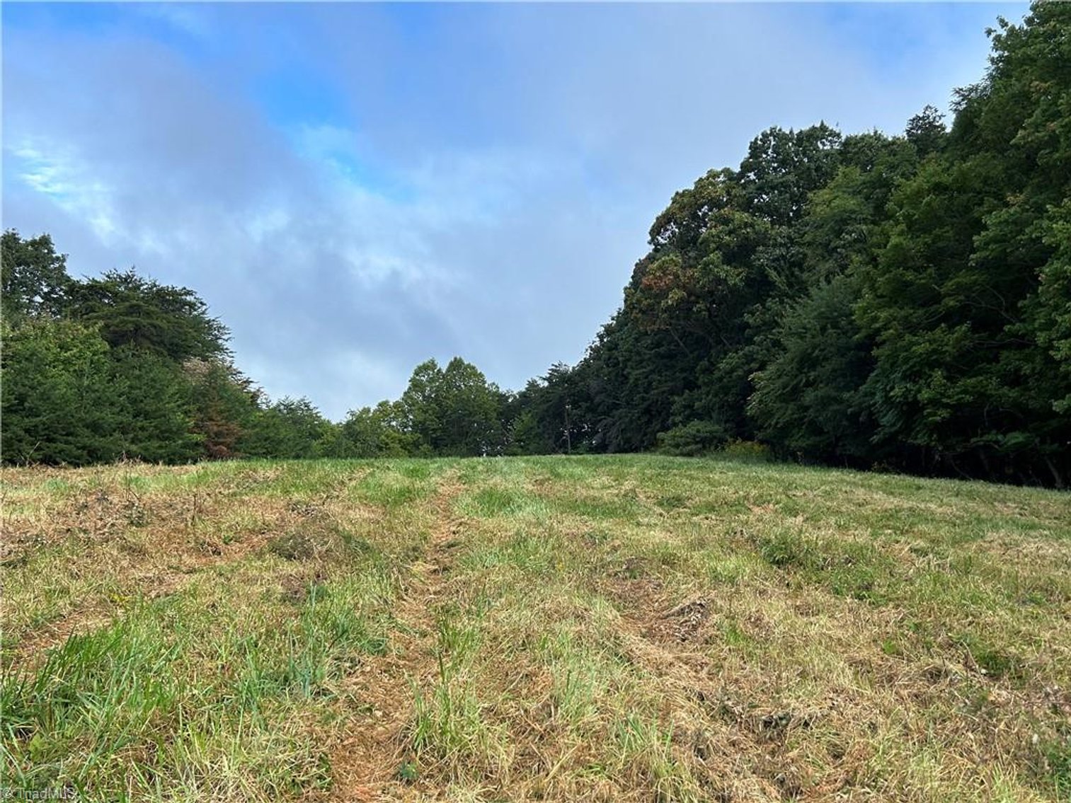 Image for Land For Sale in Mount Airy - Pine Street