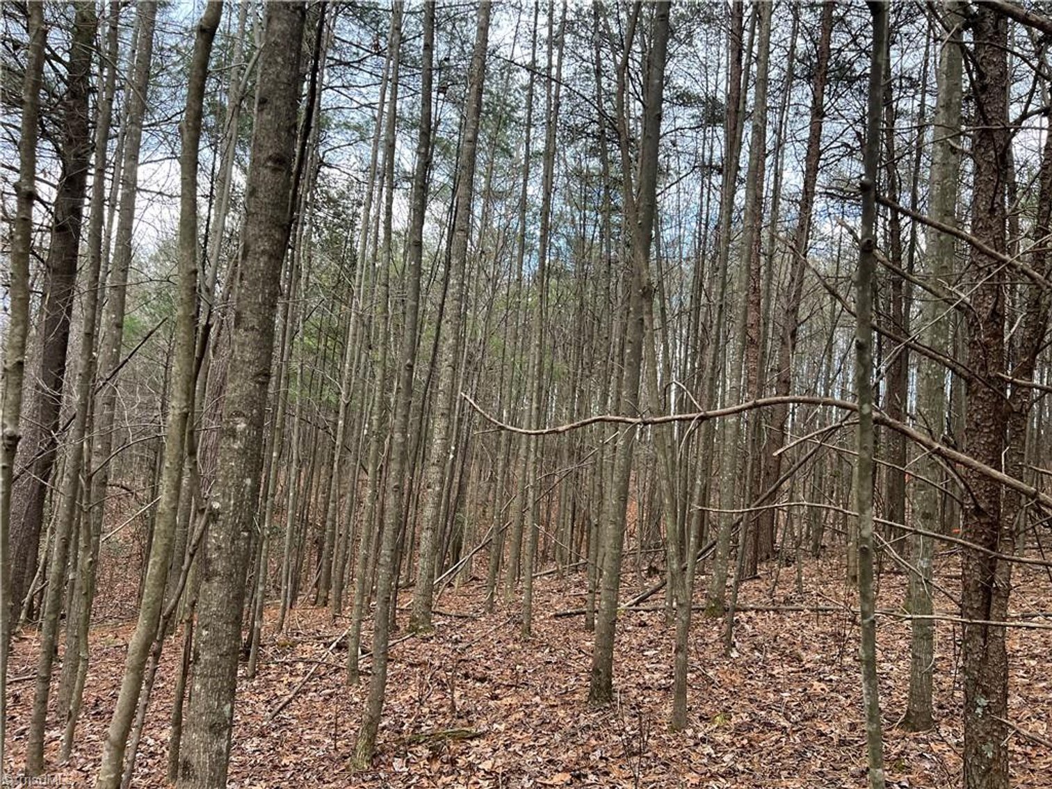 Image for Land For Sale in Dobson - Lot# 12, Fisher Valley Road