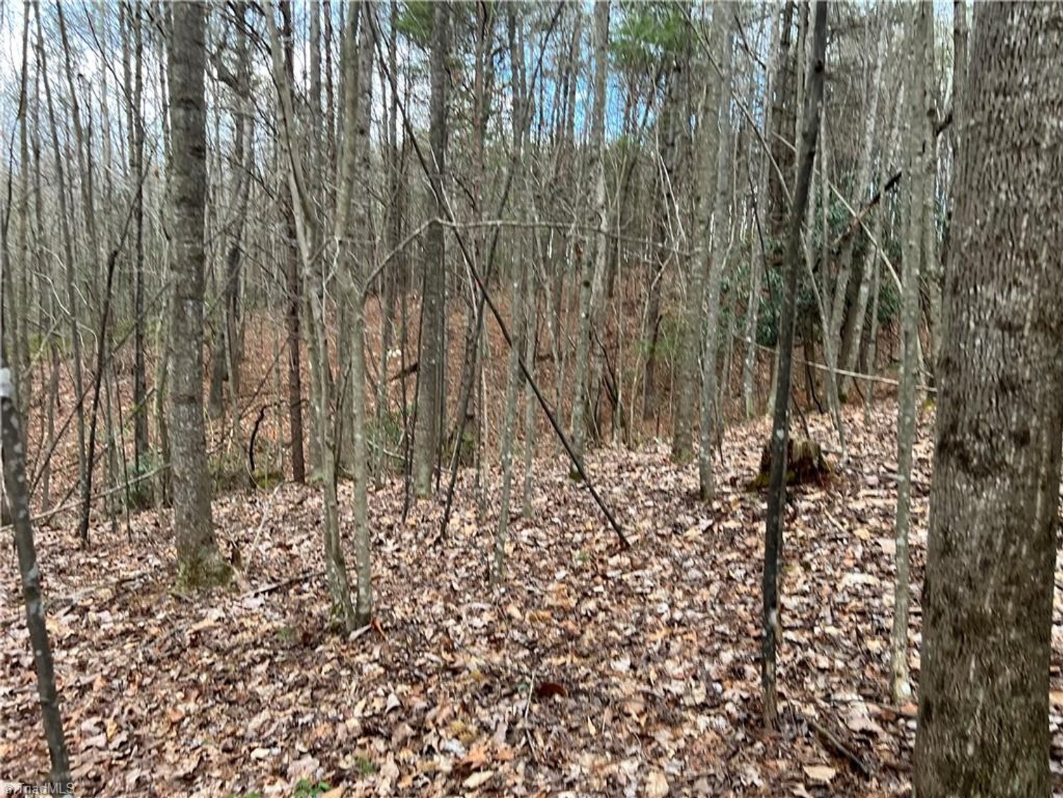 Image for Land For Sale in Dobson - Lot# 13, Fisher Valley Road