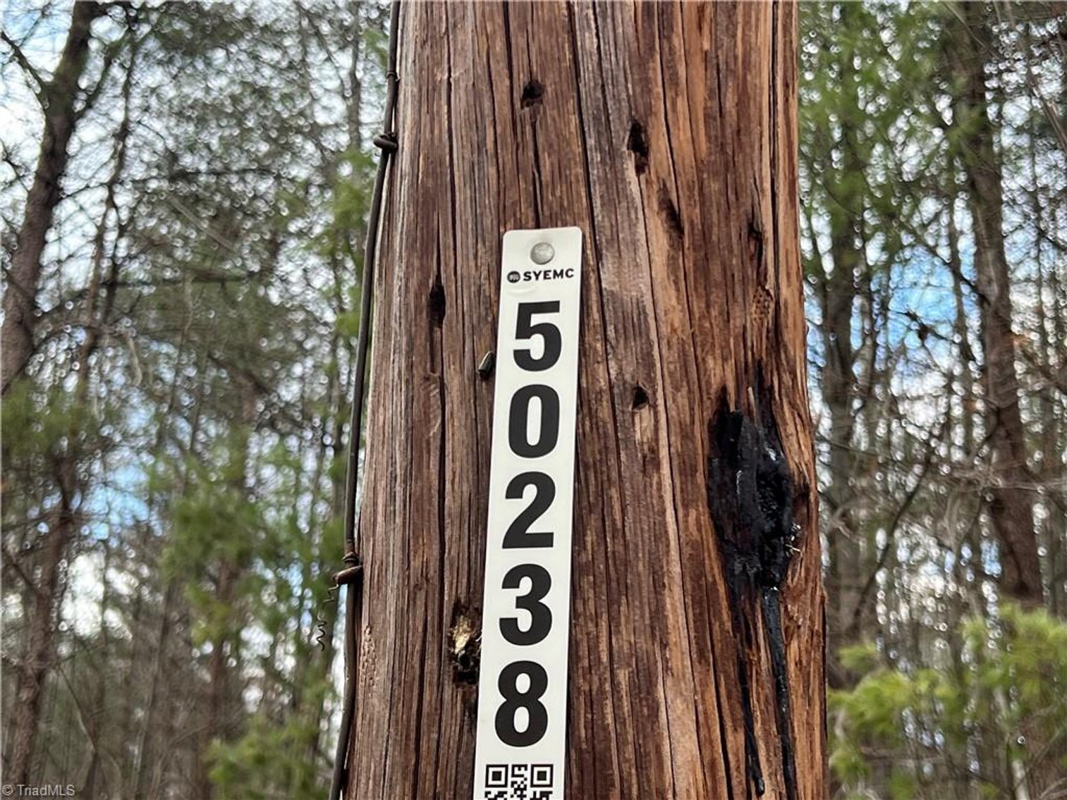 Image for Land For Sale in Dobson - Lot# 13, Fisher Valley Road