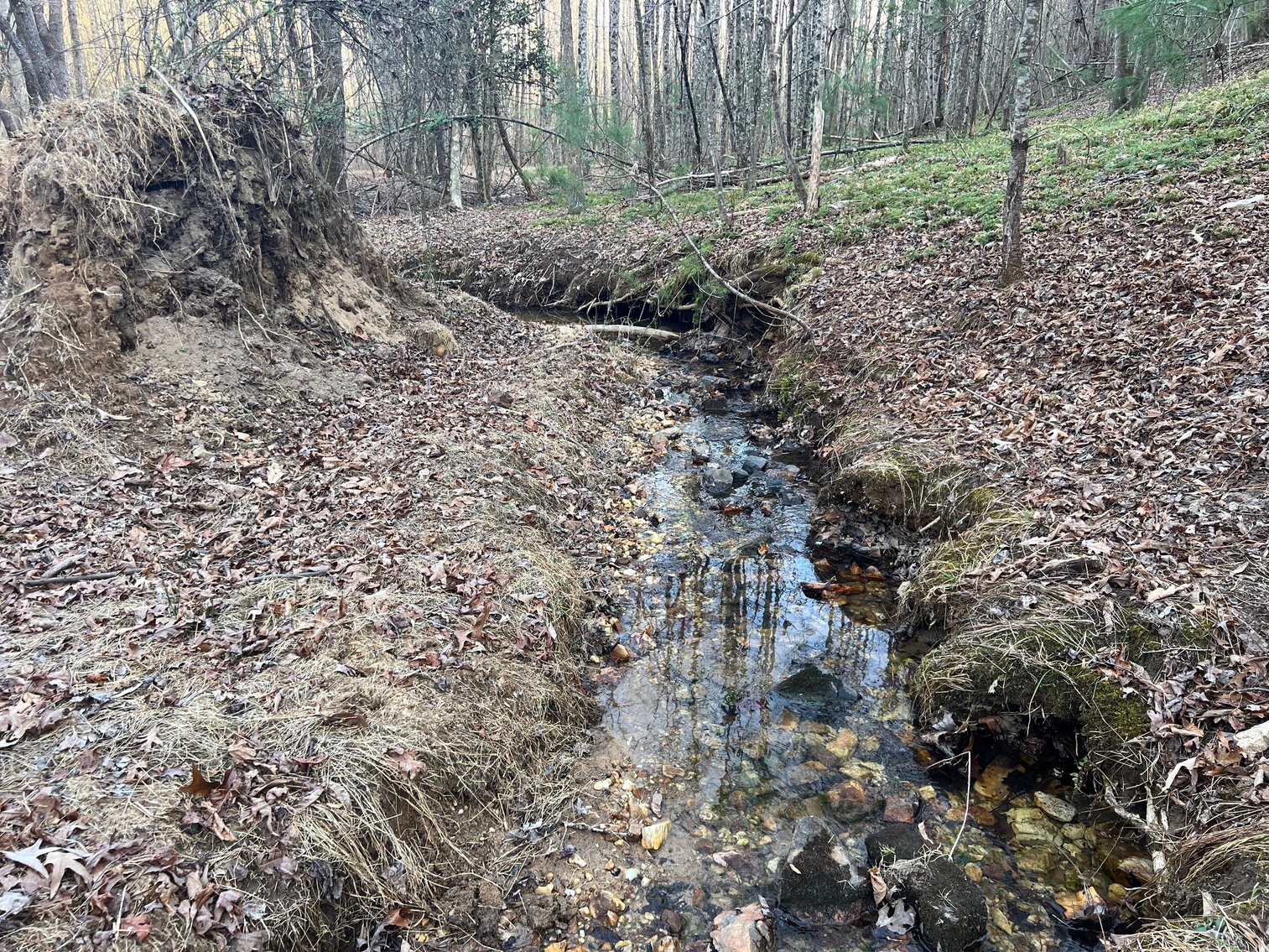 Image for 119± Acre Land Auction