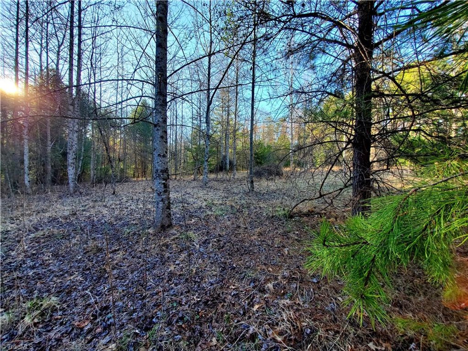 Image for Land For Sale in Dobson - 1373 Fisher Valley Road