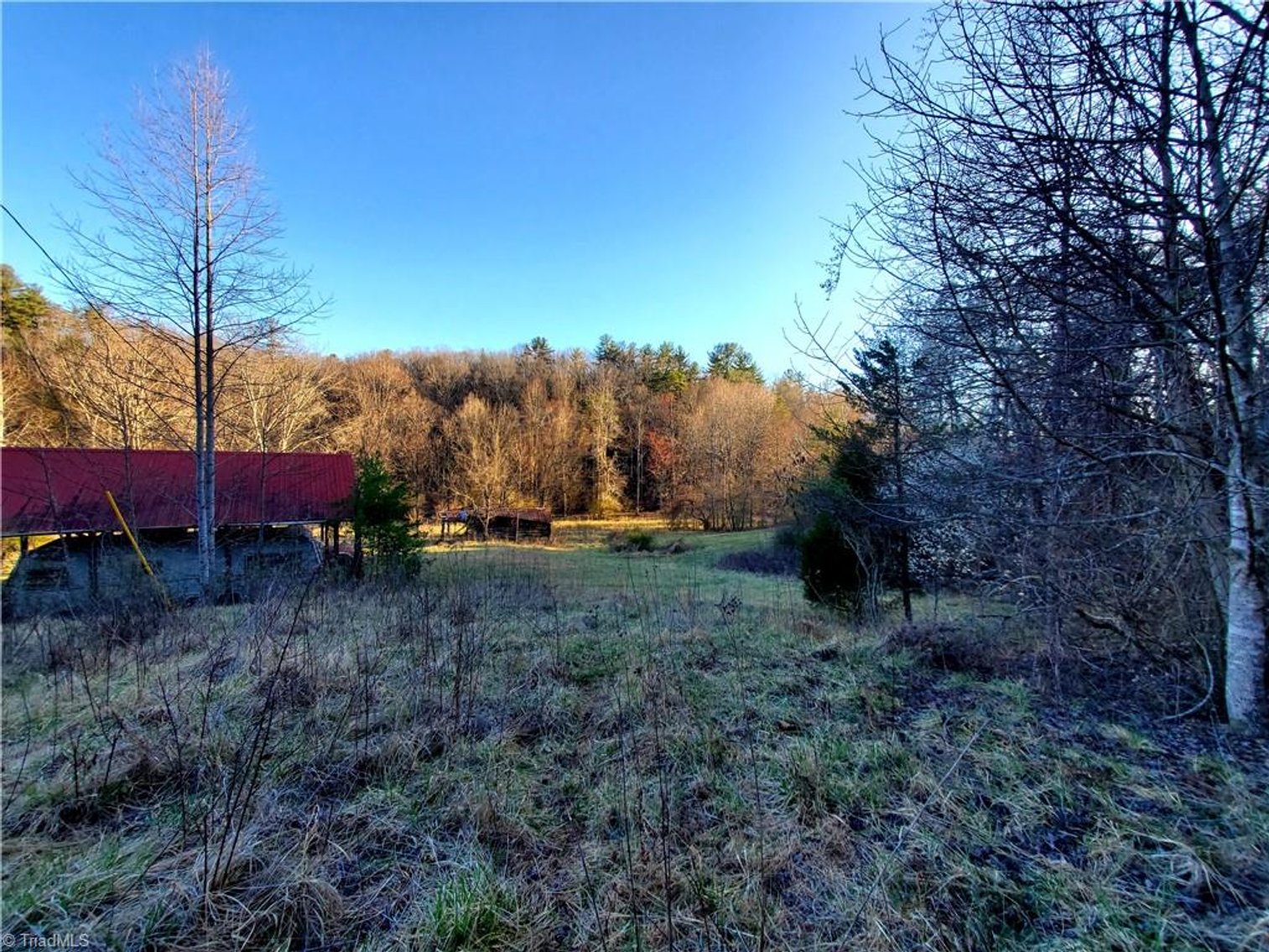 Image for Land For Sale in Dobson - 1373 Fisher Valley Road