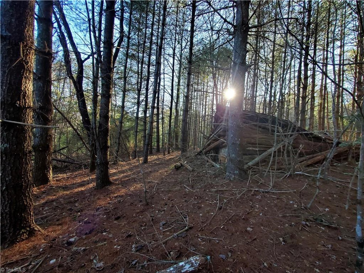 Image for Land For Sale in Dobson - 1373 Fisher Valley Road